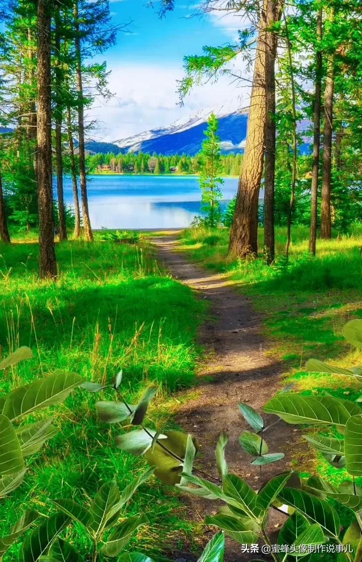 清新养眼青山绿水风景桌面壁纸,壁纸图片蓝天白云青山绿水