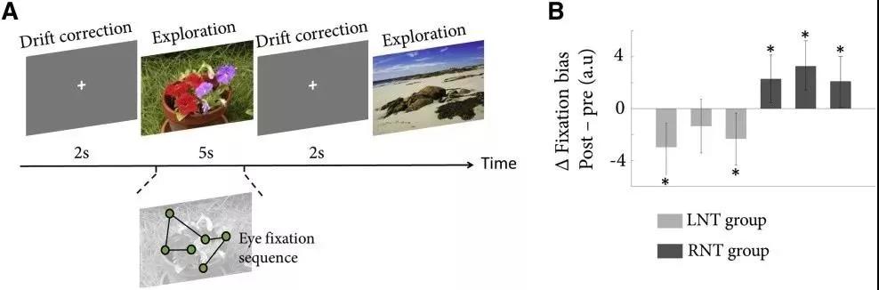 集中注意力的脑电波,注意力不集中听不清楚怎么办