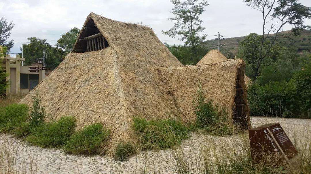 dna可以查出有哪个民族的基因吗,从dna看蒙古族和汉族同宗同源吗