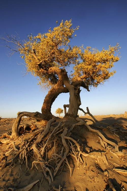 南京避开人流的小众旅游点,国内小众旅游地推荐