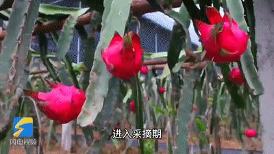 济南市灵山风景区,济南古香古色的景区