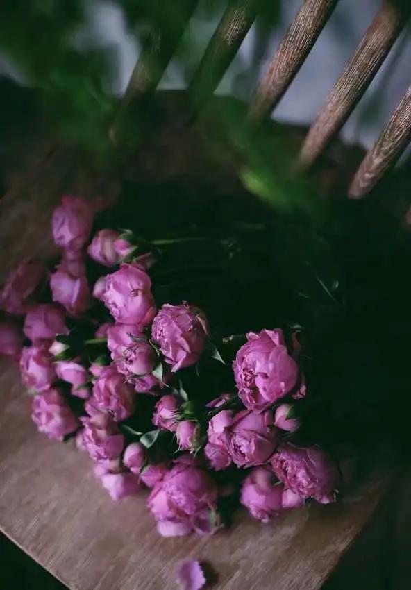 描写月色的散文名篇,散文月色的美感