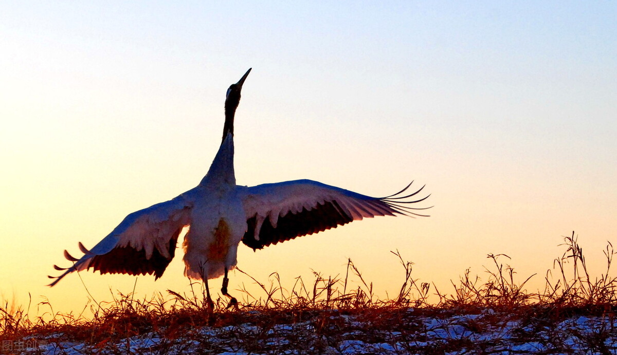 广汽本田理念是哪里生产的,广汽本田理念有几款