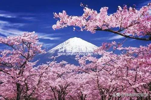 日本留学工作的禁忌,日本留学生活应注意的小常识