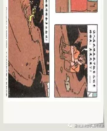 丁丁和丁丁历险记论文,丁丁历险记丁丁的服装