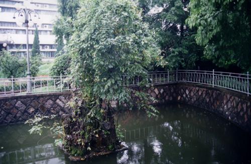 健康路4号难忘义乌中学老校区回眸搬迁的最后一幕