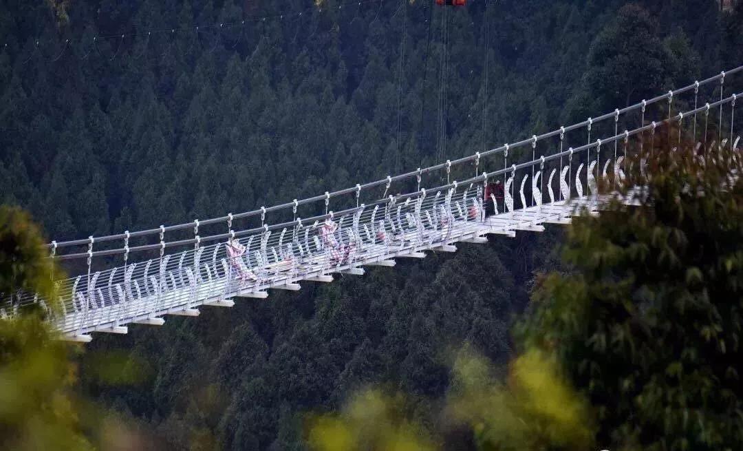 成都周边春季徒步旅游攻略,成都森林徒步旅游攻略