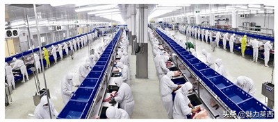 猪肉需要检验检疫合格证,猪肉经过检疫