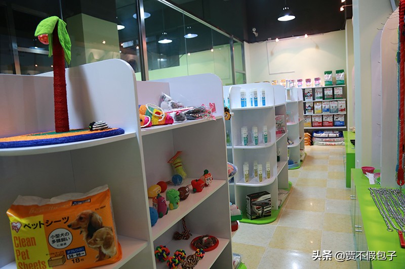 2020年最好的创业项目是哪些？让你走好创业第一步