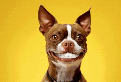 考了cpa大概工资是多少,cpa考出来要多少工资合适