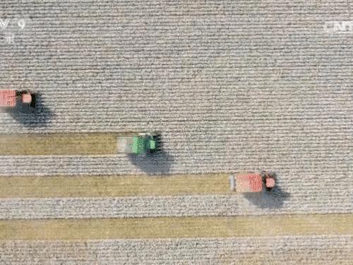 新棉花的特点,新棉花已十年了还能用吗