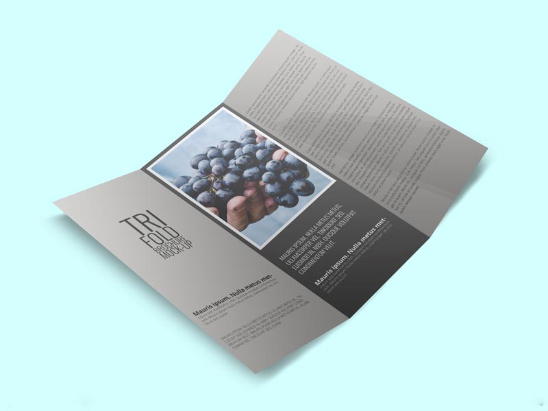 三折页用什么纸印刷,印刷三折页尺寸对比