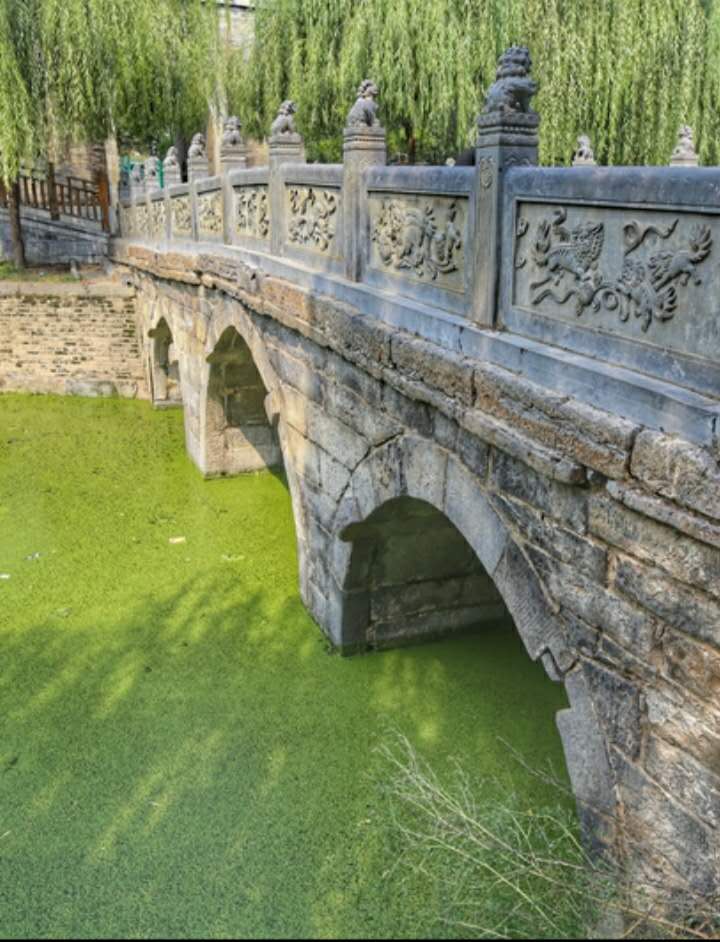 “花桥流水”东流庄难忘记忆“再回首”—来自平邑县仲里古镇东流庄村系列传奇故事之二姜晓彬甄峰/图文