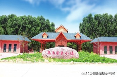 河南日报特刊,壮丽70年奋斗新时代河南