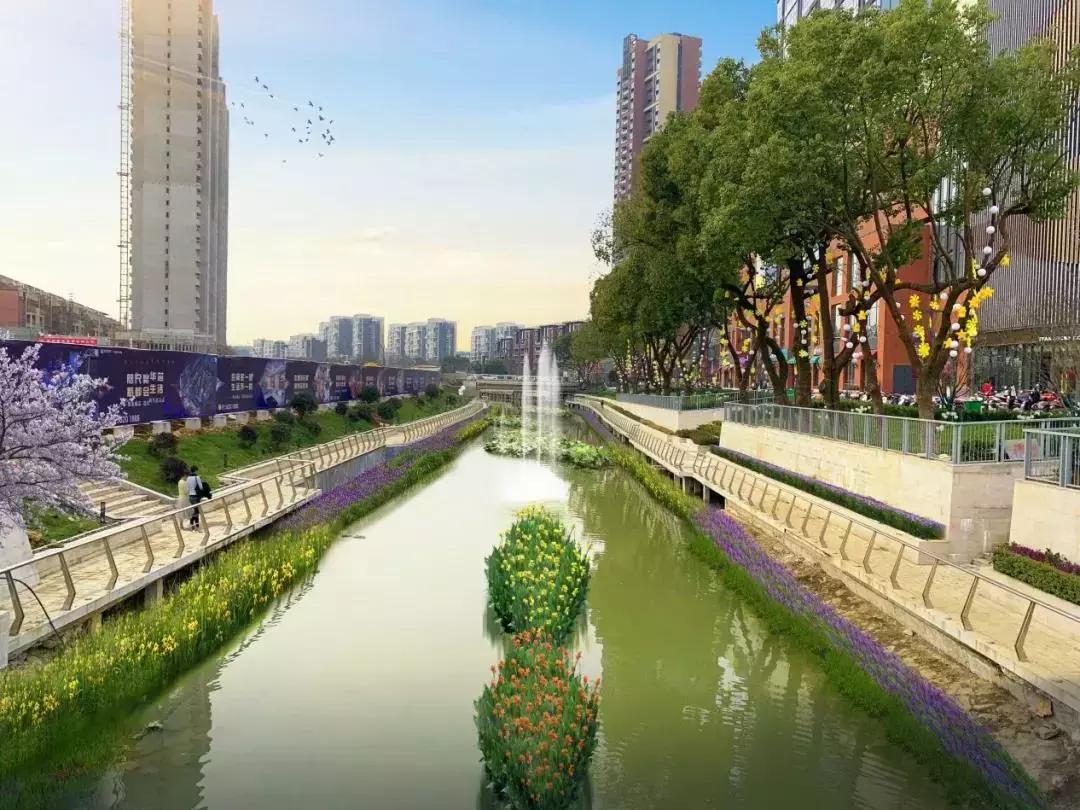 全城瞩目！溧水新建4所幼儿园！金鹰国际大健康项目拟落户