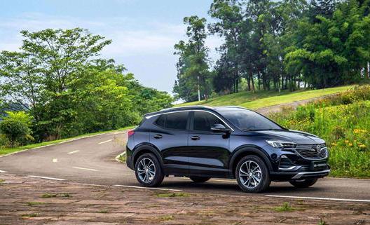 全球同步，这台1.3T发动机堪称理想型