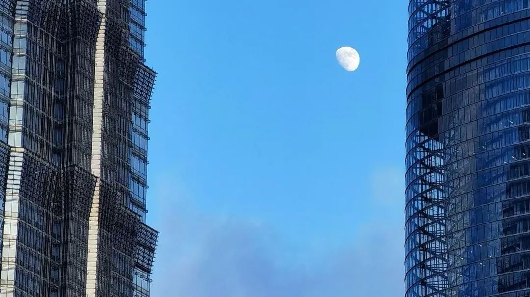 项目经理都混得怎么样,项目经理怎么单干的