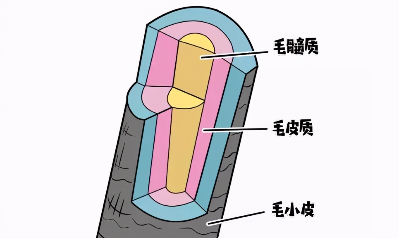 马云不要抱怨工作有多忙,马云能解决农民种地难的问题吗