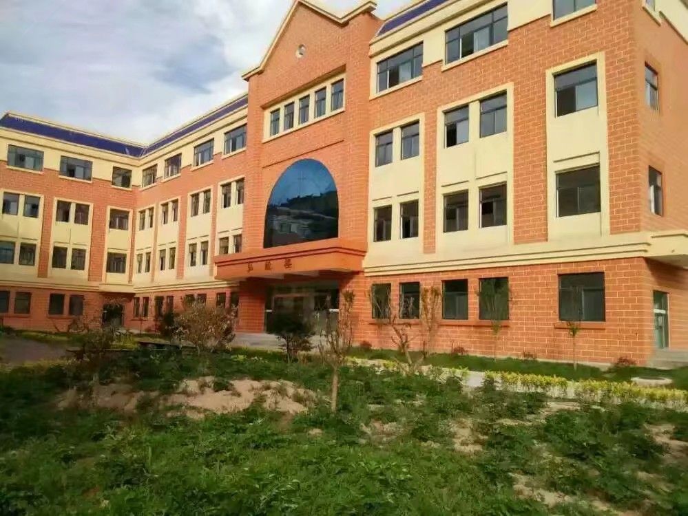 毕业照背后的故事,毕业照背后的故事作文500字