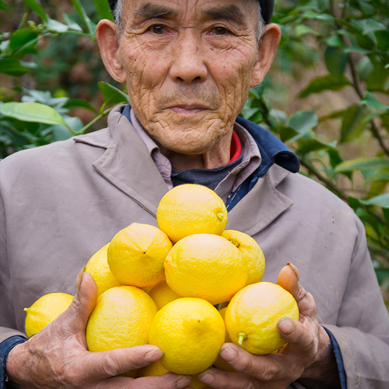 四五月份吃什么水果最当季,五月份不可错过的四种时令水果