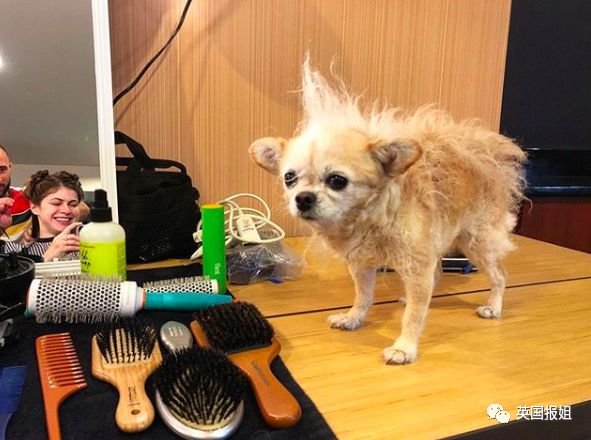 被骂上热搜的小三,骂绿茶小三的视频