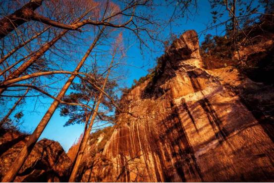 缙云最值得去的地方,缙云大洋山游玩攻略