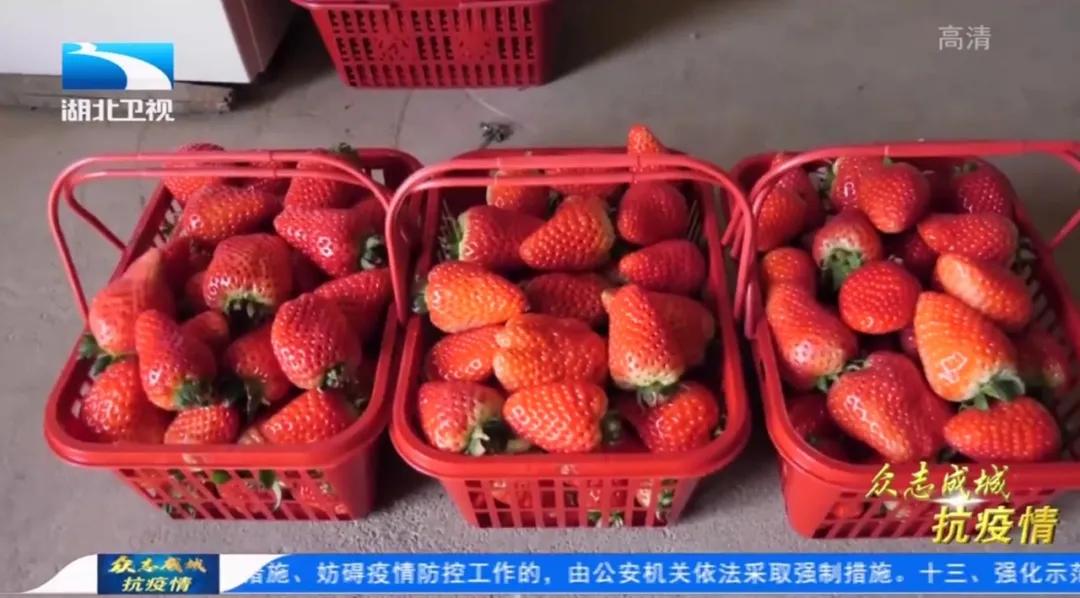 疫情之下保障农产品供应,湖北疫情防控物资自给能力