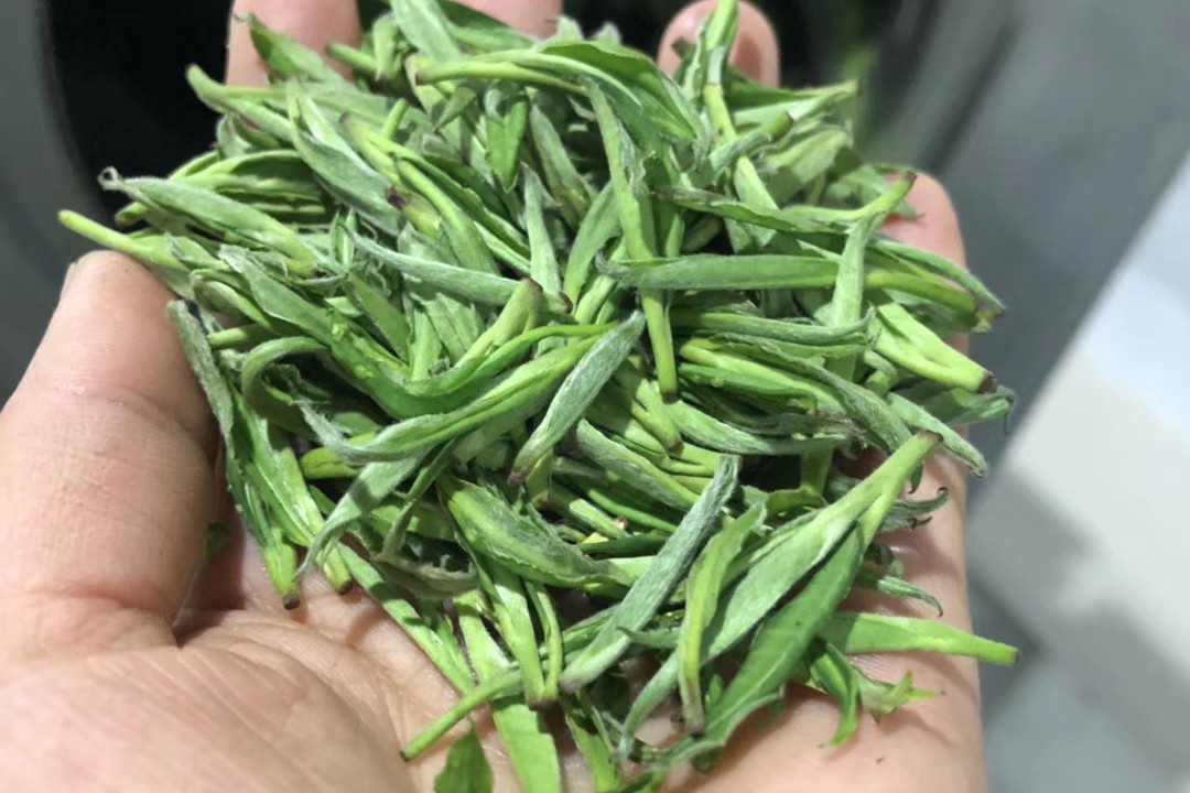 绿茶的味道怎么分辨好坏,绿茶什么汤色最好