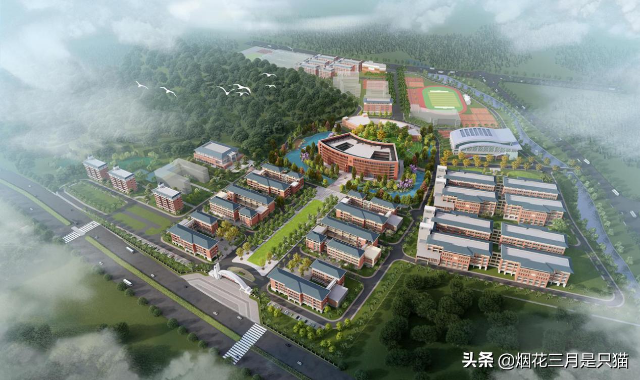 还在为选学校发愁吗,还在为选项目发愁吗