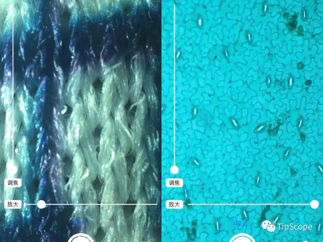 tipscope便携式手机显微镜,送给孩子的科学玩具