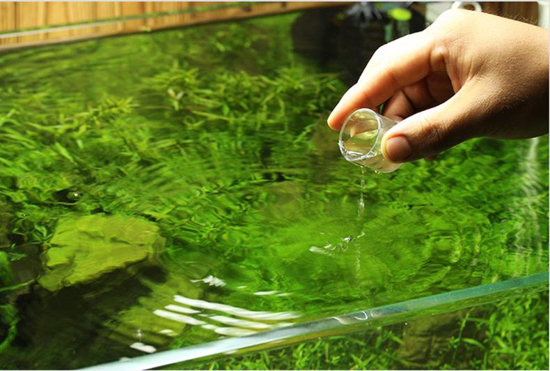 鱼缸最基础的设备,鱼缸养鱼所要的设备