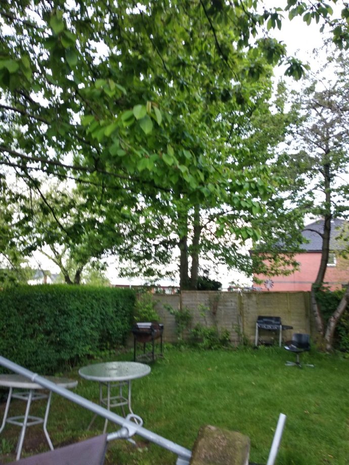 我在英国的打工日记,我在英国一天的生活