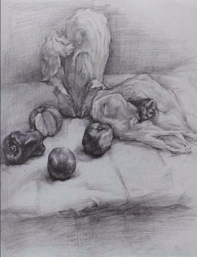西安美术学院附中静物素描,西安美术学院素描真题
