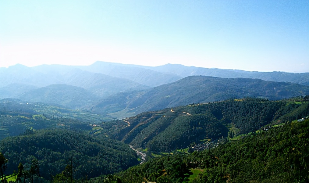 十大名寨普洱茶排名,十大普洱茶排行榜最新