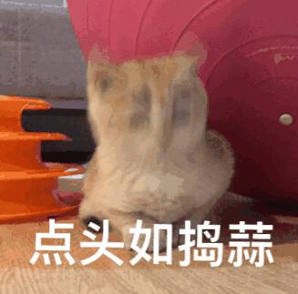 瑜伽轮卡通可爱小人图片,瑜伽狂野式小人图怎么画