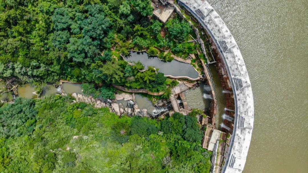 济南又添新避暑地!这处藏着雨林瀑布的“绿野仙踪”带你一秒穿越热带国度!