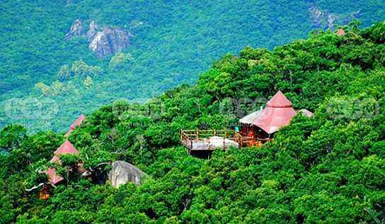 去海南猫冬,去海南猫冬的视频