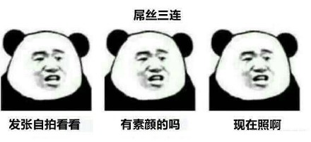 熊猫头表情包艾特男朋友,熊猫头表白表情包动态图片大全