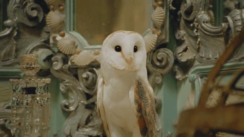 gucci很有古典贵族风格,gucci优雅永不过时