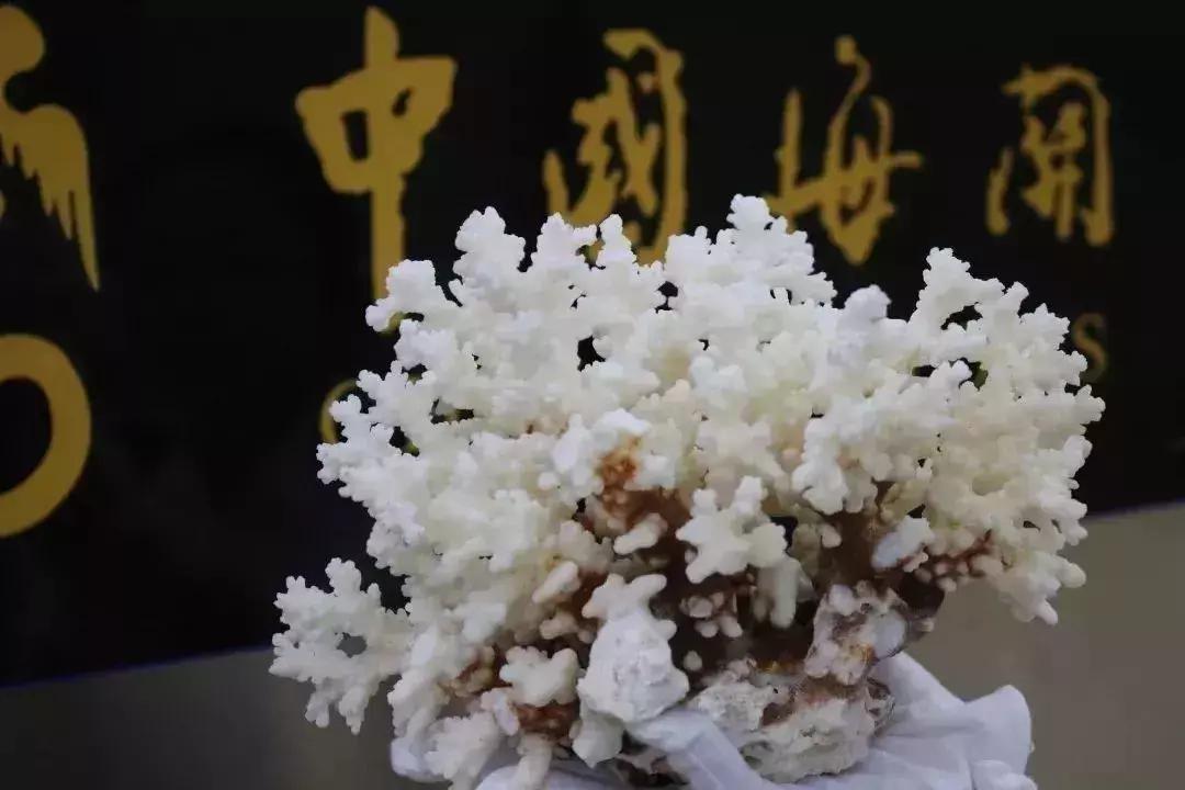 鍙屾棪璐墿璁″垝,璺熸梾娓稿洟鍘婚娓杩囨捣鍏冲悧