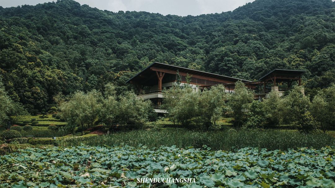 长沙旅游攻略必去的十大景点推荐,长沙旅游攻略必去十大景点免费