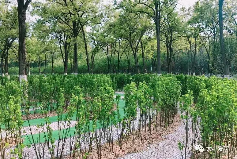 免费公园滑梯,六支沟滑滑梯公园