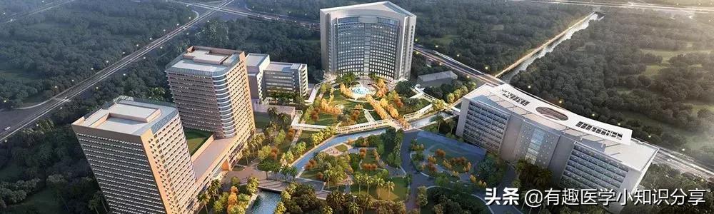 2023广东高水平医院排名,广东省顶级医院科室排名最新发布