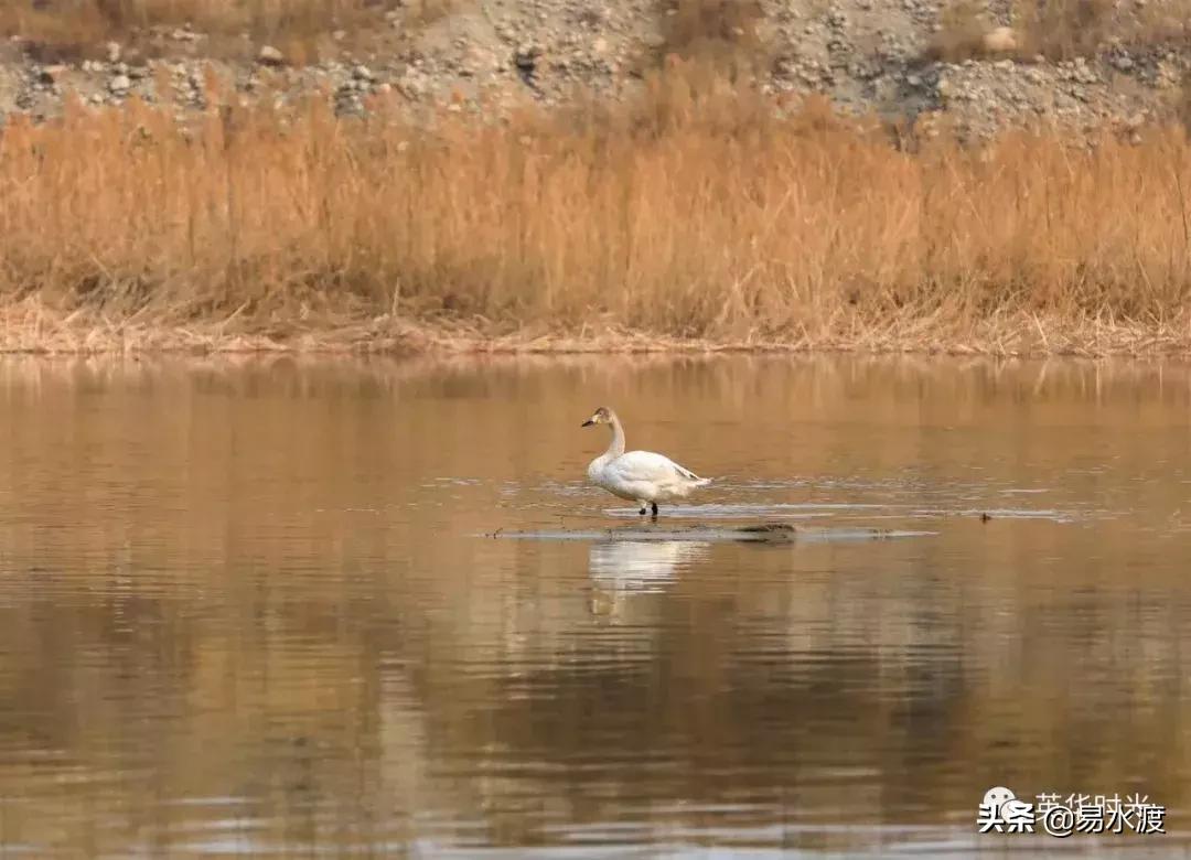 易县好看的视频,易县哪儿的好看