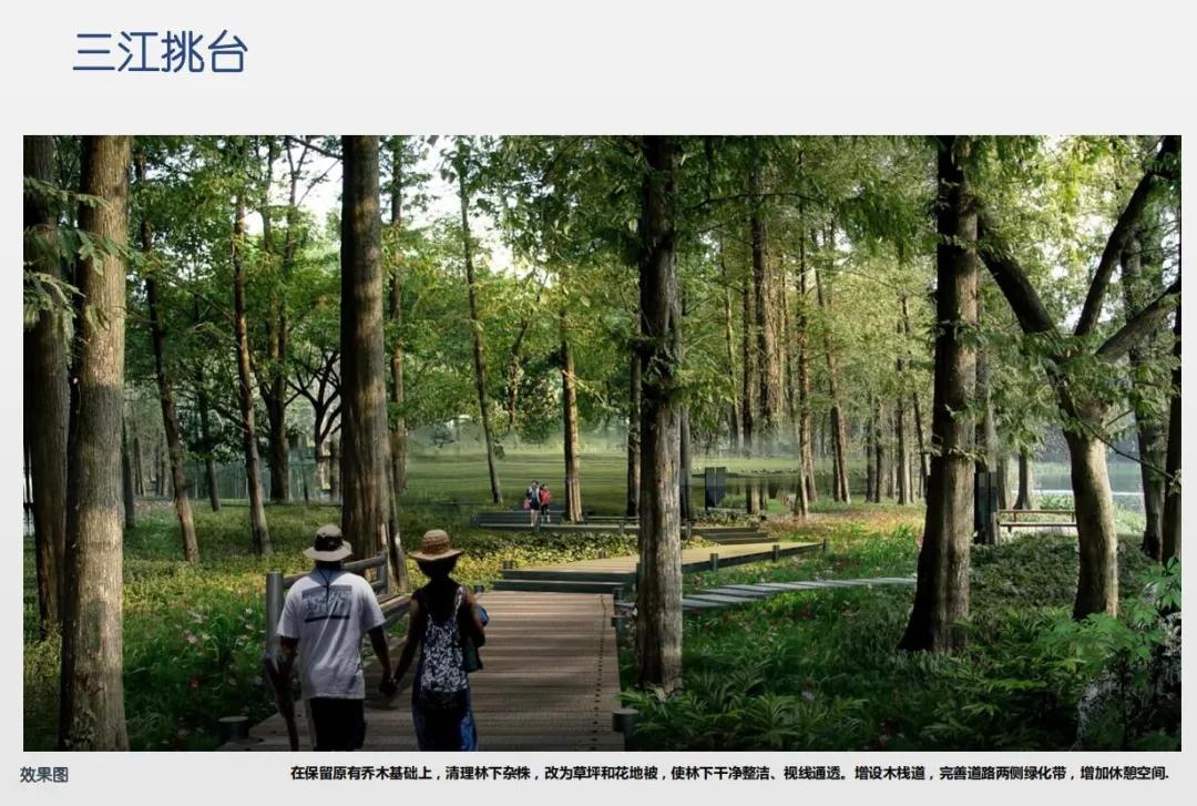 共青城儿童公园,江阳公园最新规划图