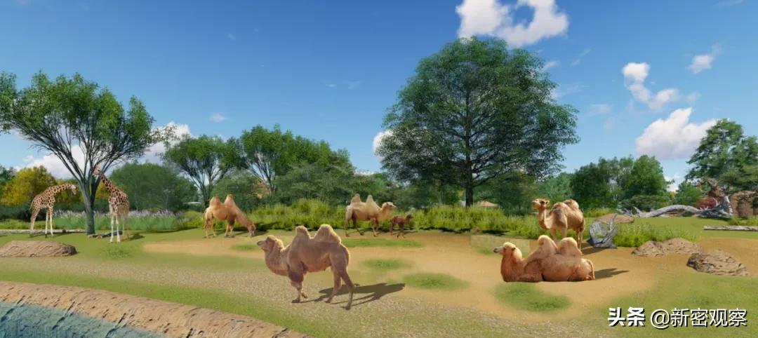 银基动物王国免门票吗,银基动物王国试营业直播