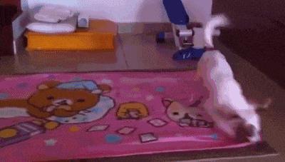 大叔刷百万礼物,大叔刷100万见网红