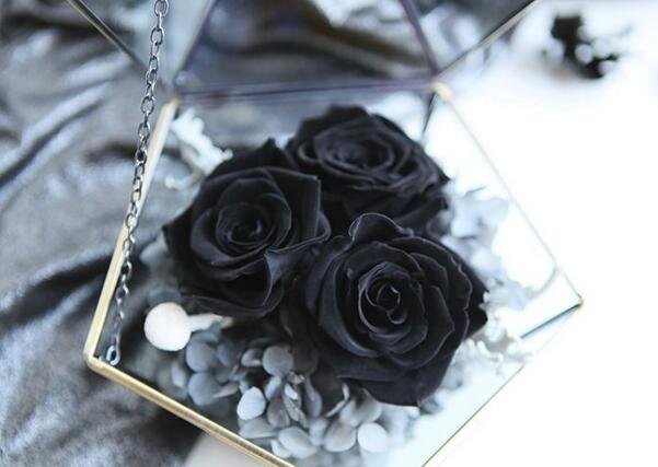 送9种不同颜色的玫瑰花代表什么,求爱玫瑰花应该送多少朵合适