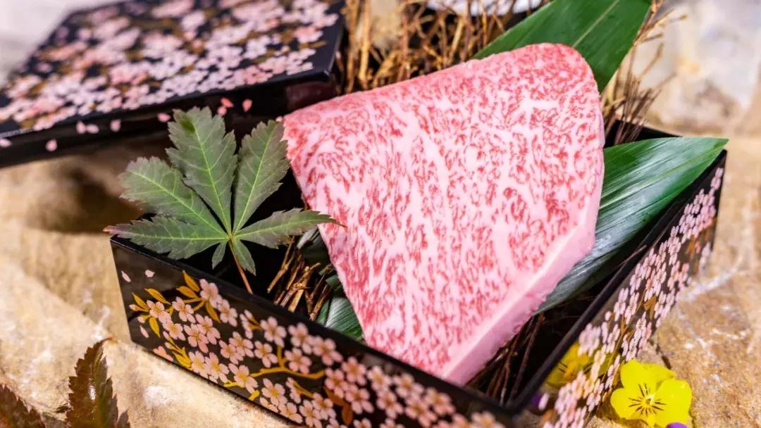 厦门超贵贵贵贵“保姆烤肉”！一口627元！借钱也要来吃……