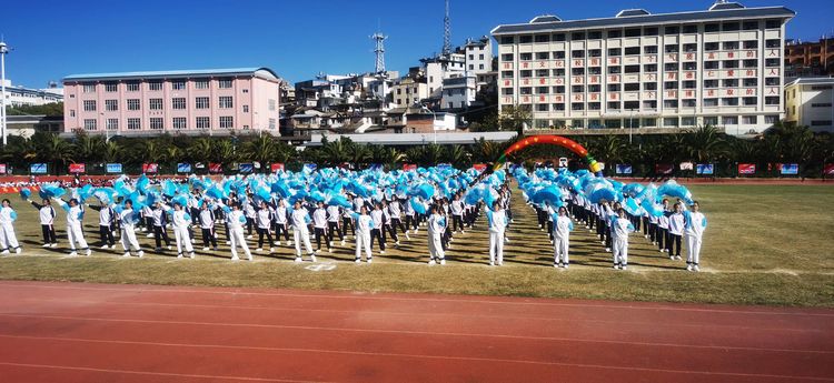 澶у鐢板緞,濂嬫枟闈掓槬寮哄浗鏈夋垜杩愬姩浼氬紑骞曞紡